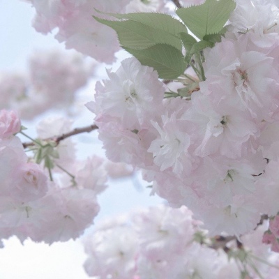 黔东南FurryQQ群介绍